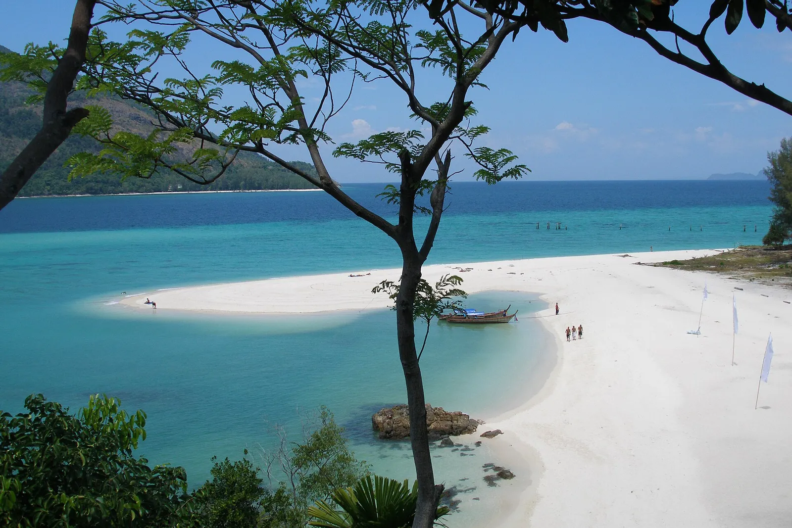 Koh Lipe sandbar seen through a tree, with Koh Adang across the water