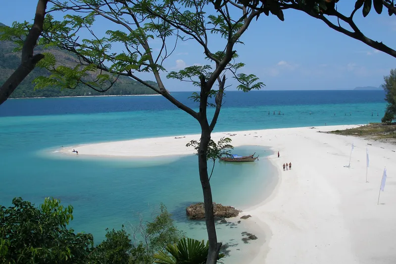 Koh Lipe sandbar seen through a tree, with Koh Adang across the water